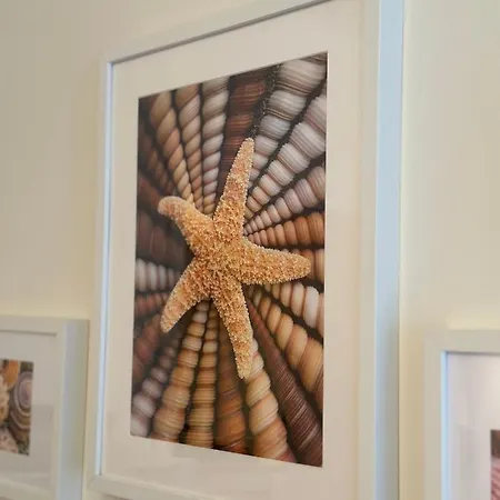 Nirvana 302 Apartament Nieuwpoort